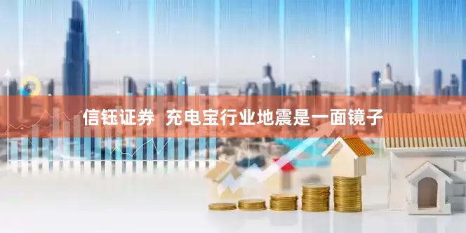 信钰证券  充电宝行业地震是一面镜子