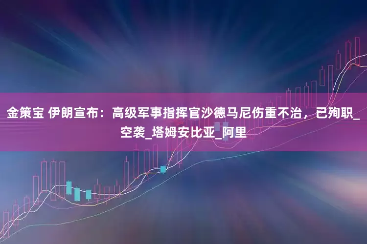 金策宝 伊朗宣布：高级军事指挥官沙德马尼伤重不治，已殉职_空袭_塔姆安比亚_阿里