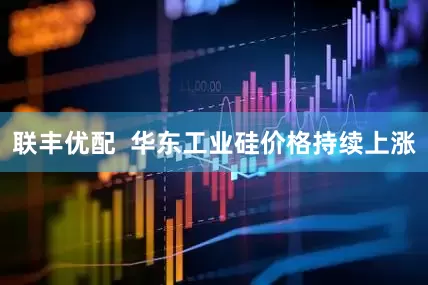 联丰优配  华东工业硅价格持续上涨