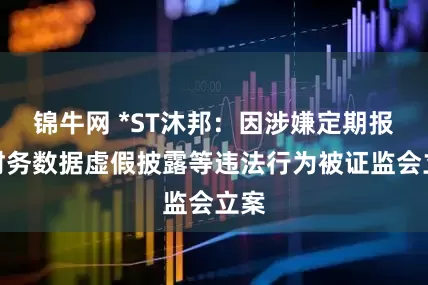锦牛网 *ST沐邦：因涉嫌定期报告财务数据虚假披露等违法行为被证监会立案