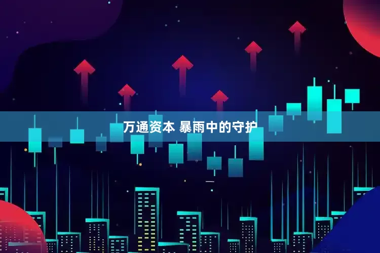 万通资本 暴雨中的守护