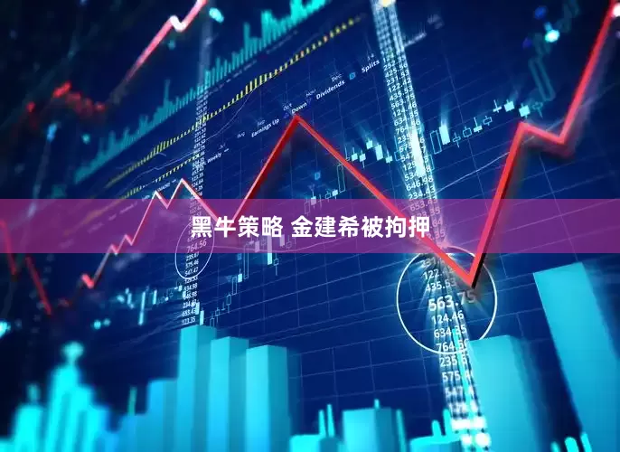 黑牛策略 金建希被拘押