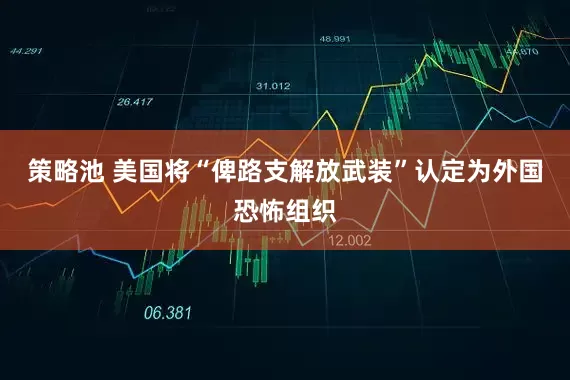 策略池 美国将“俾路支解放武装”认定为外国恐怖组织